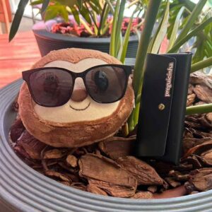 Óculos Tradutor Preguicinha